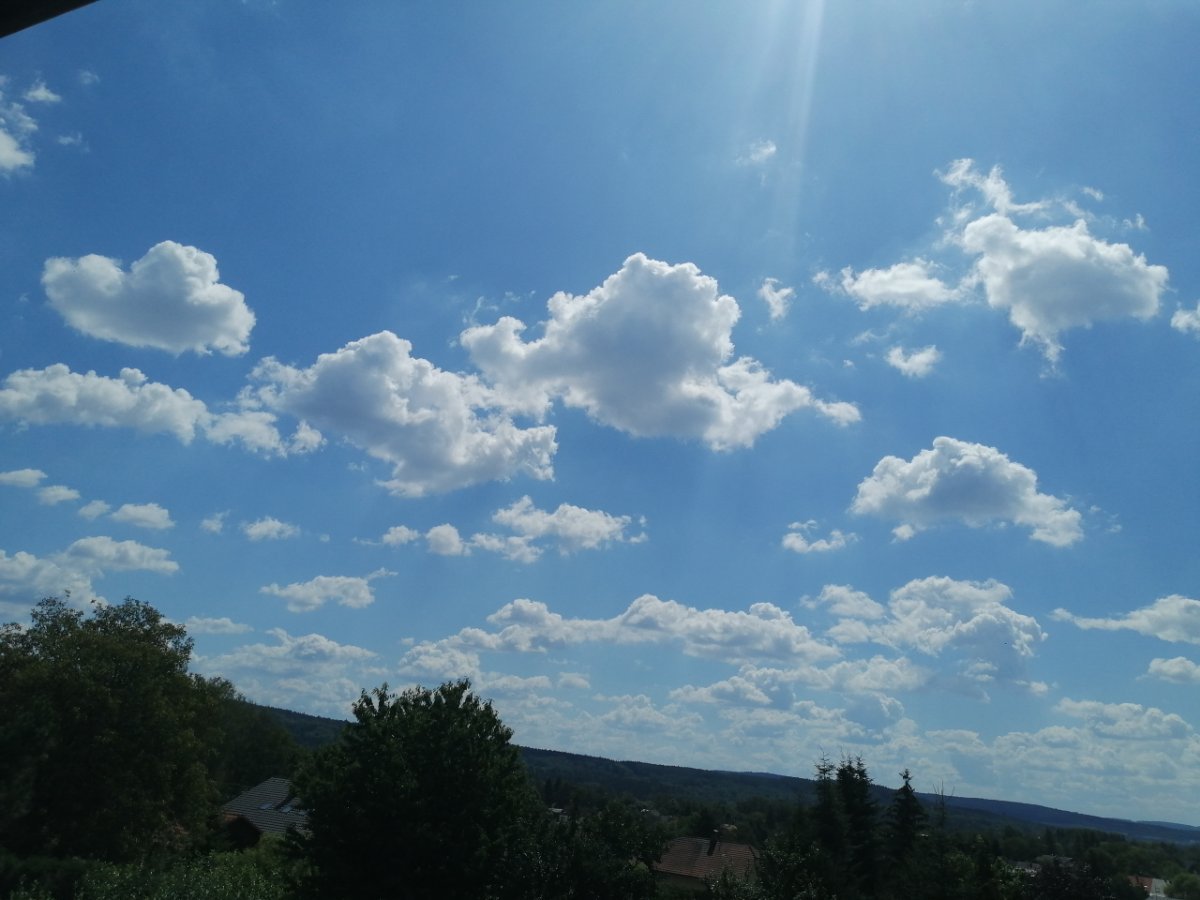 Dýšina