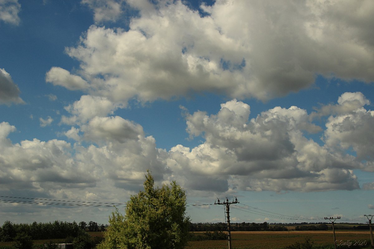 Odrovice