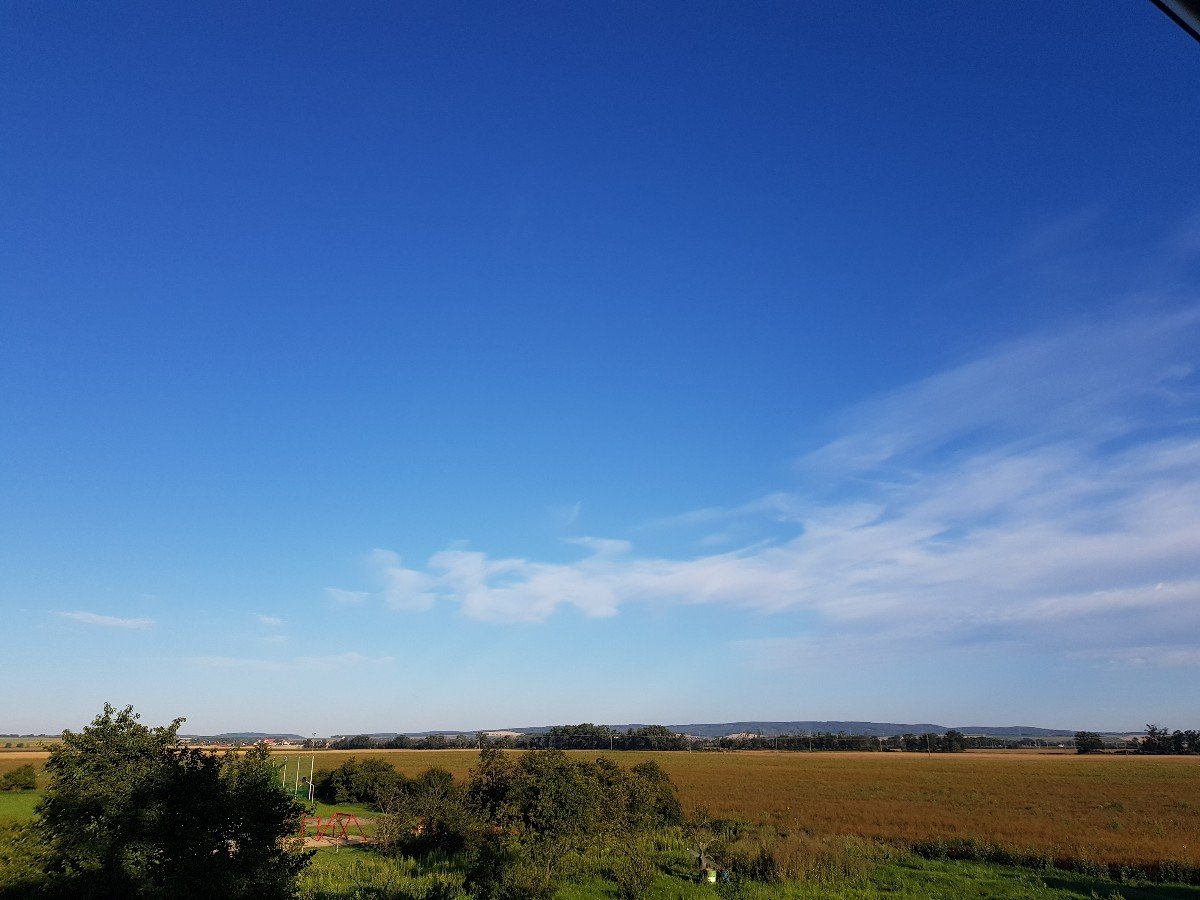 Odrovice