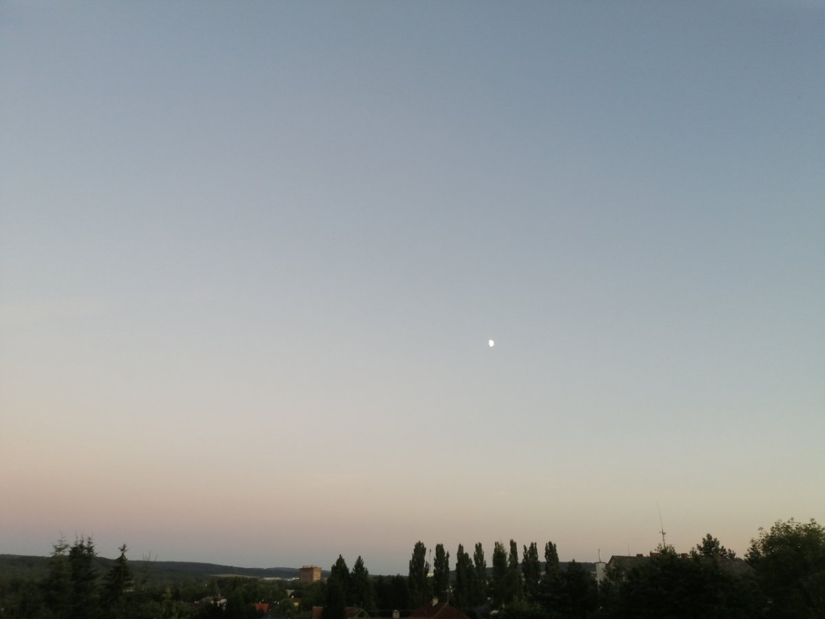 Dýšina