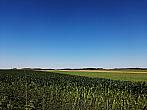 Hostákov