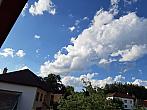 Olešná