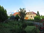 Třibřichy