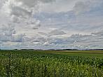 Hostákov