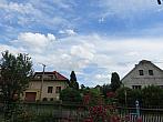 Třibřichy