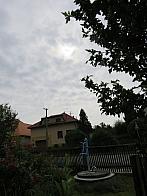 Třibřichy
