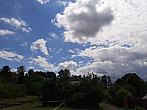 Olešná