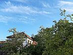Olešná