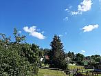 Olešná