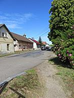 Třibřichy
