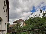 Olešná