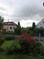 Třibřichy