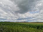 Hostákov