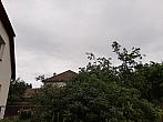 Olešná