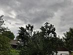 Olešná