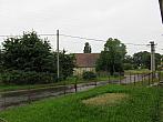 Třibřichy