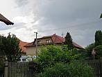 Třibřichy