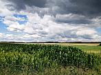 Hostákov
