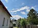 Olešná
