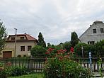 Třibřichy