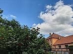 Olešná