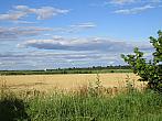Třibřichy