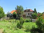 Třibřichy