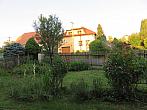 Třibřichy