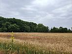 Chomutov