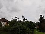 Olešná