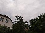 Olešná