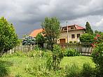 Třibřichy