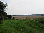 Třibřichy