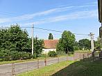 Třibřichy