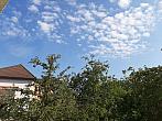 Olešná