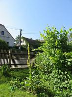 Třibřichy