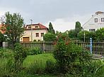 Třibřichy
