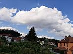 Olešná