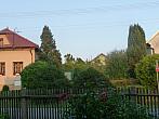 Třibřichy