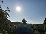 Olešná