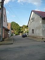 Třibřichy
