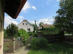 Třibřichy