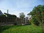 Třibřichy