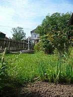Třibřichy