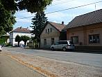Třibřichy
