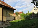 Třibřichy