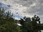 Olešná