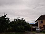 Olešná