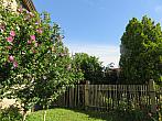Třibřichy