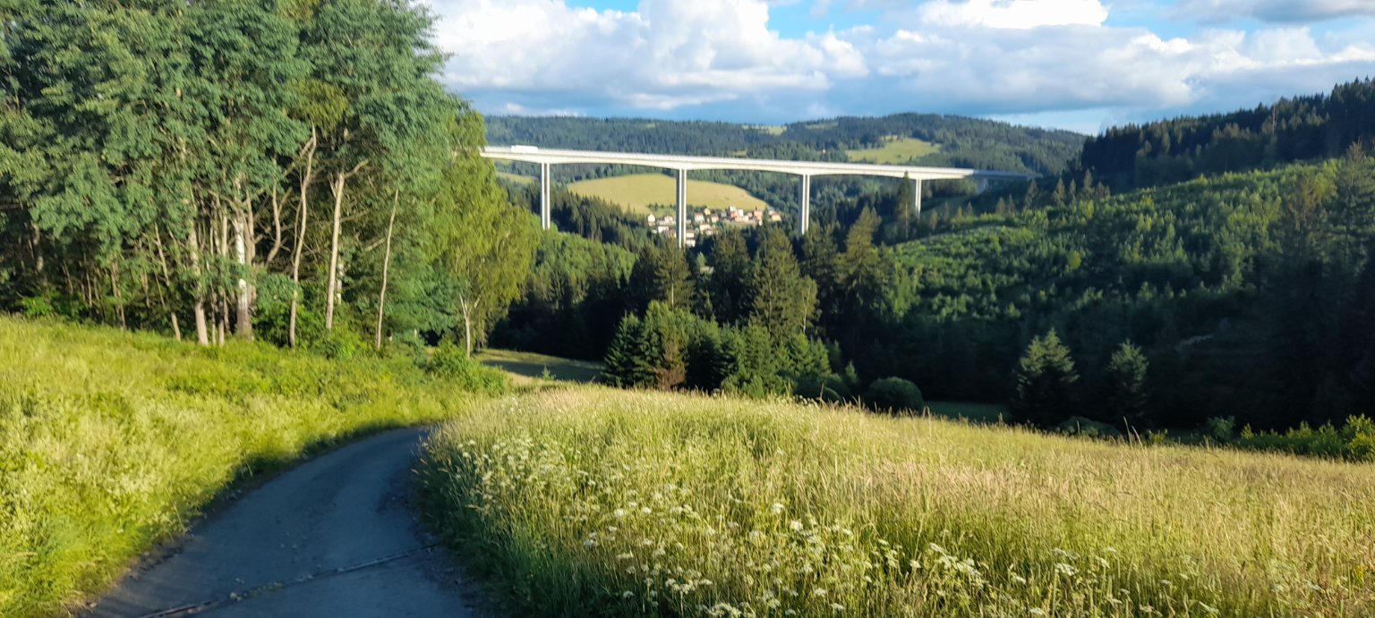 Hrčava